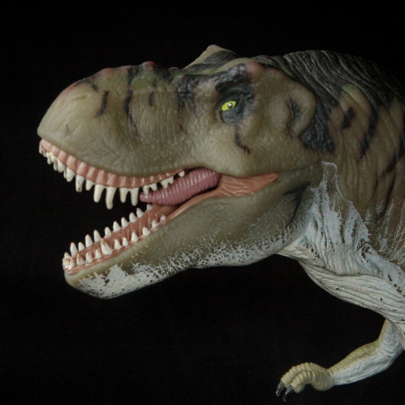 T-Rex A Toy Dinosaur from my son's collection, lit with a Canon 580EX II at 1/32 from above in a shoot-through, and a Rayflash on a second 580EX II at 1/128 power for balanced fill. A flag was used to keep light off the background.